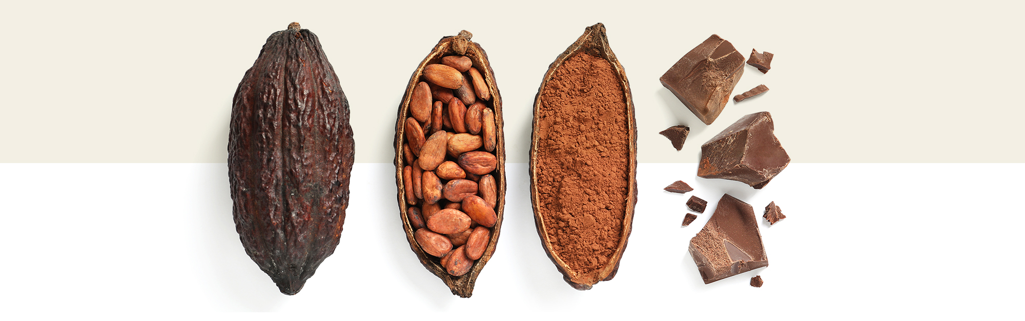 Plod Kakaa, zrnka kakaa, kakaová sušina, čokoláda